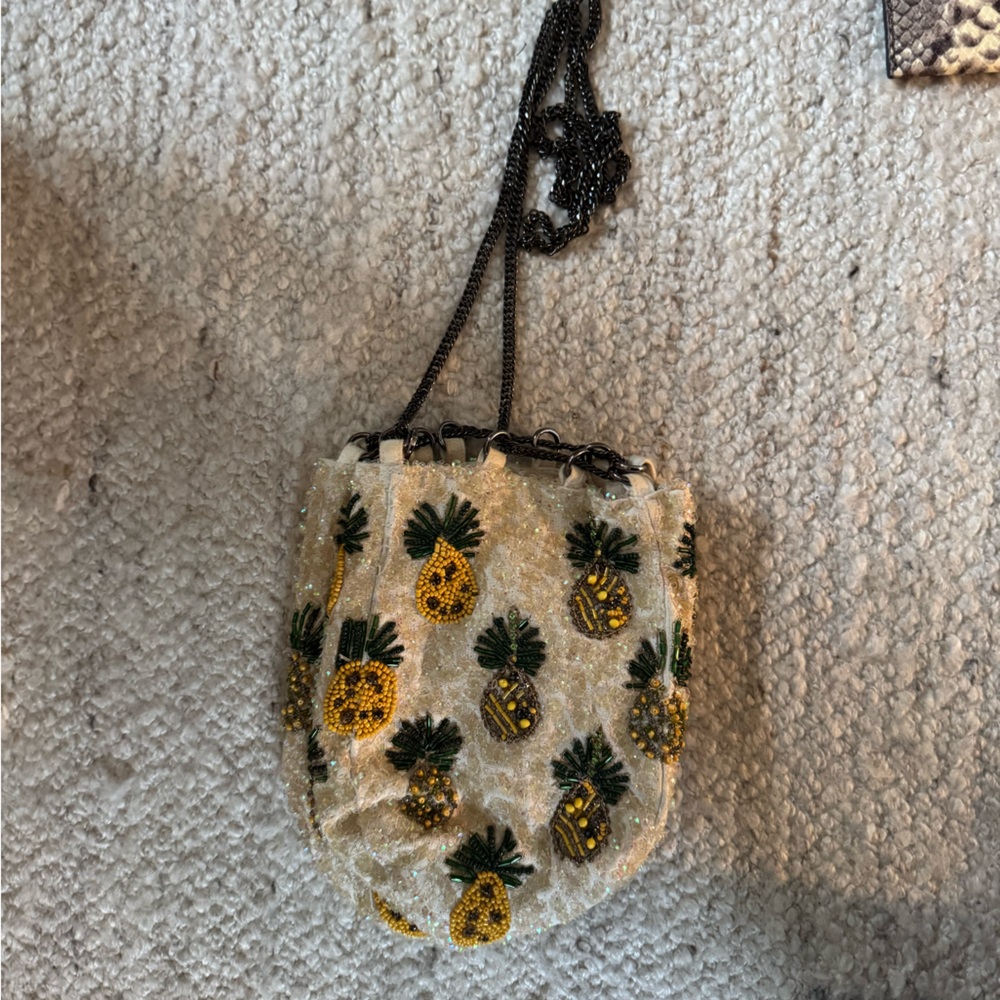 Zara Pineapple Embroidered Bucket Bag with Chain